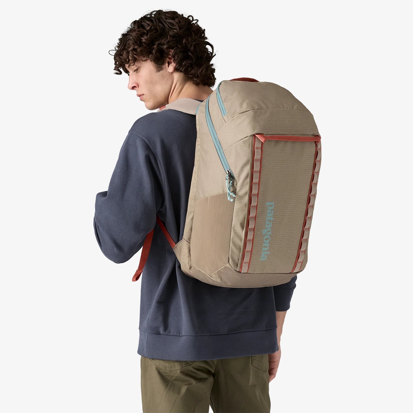 Patagonia Black Hole Pack 32L - Seabird Grey - Star Surf + Skate