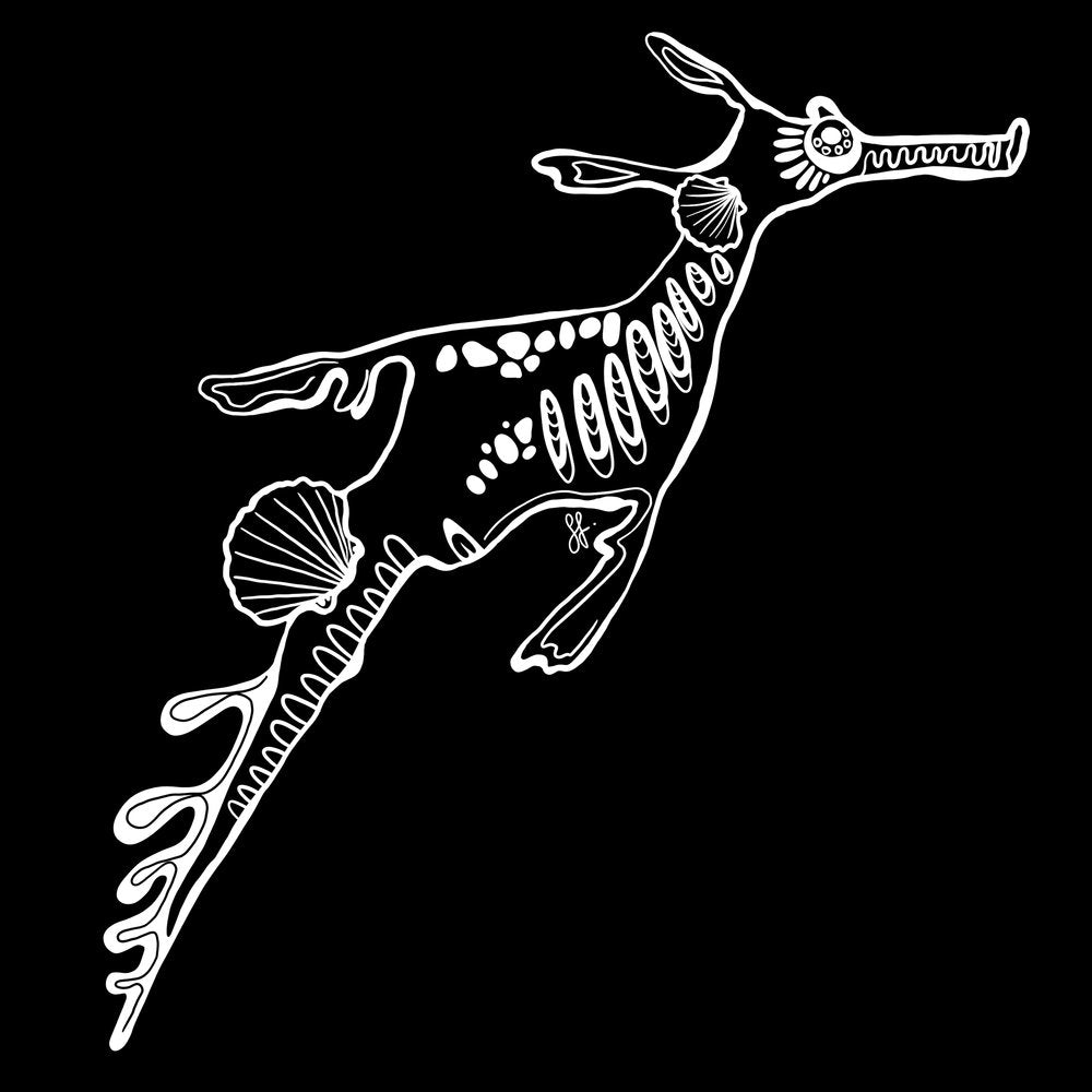 Sophie Fletcher Design Seadragon Stickers - White - Star Surf + Skate