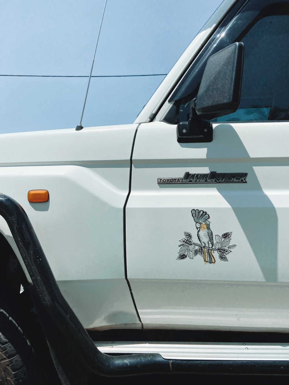 Sophie Fletcher Design Cockatoo Stickers - Star Surf + Skate