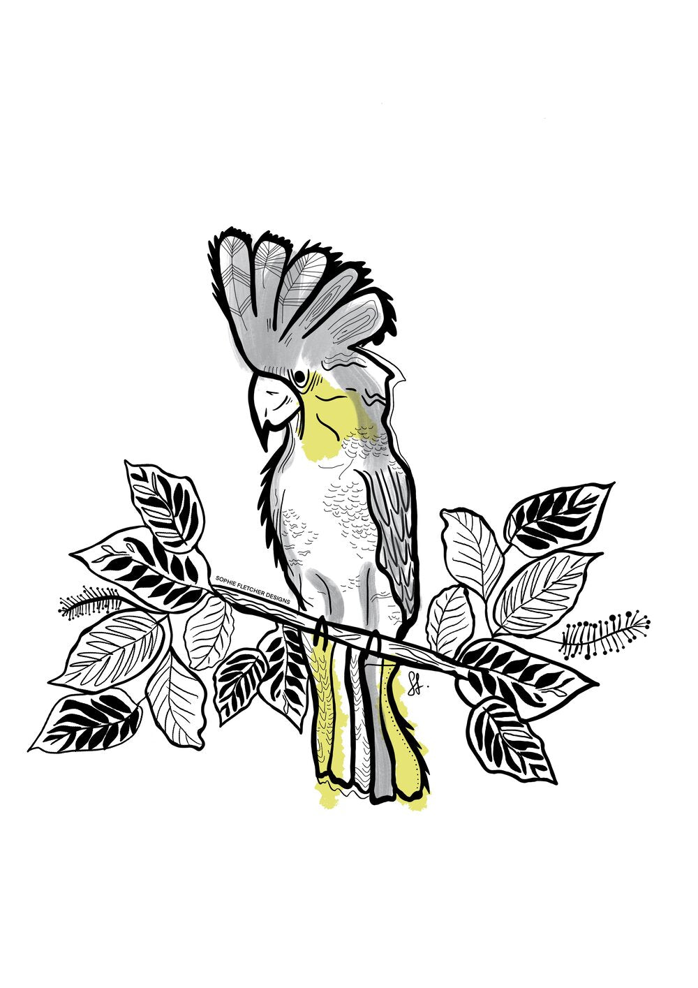 Sophie Fletcher Design Cockatoo Stickers - Star Surf + Skate