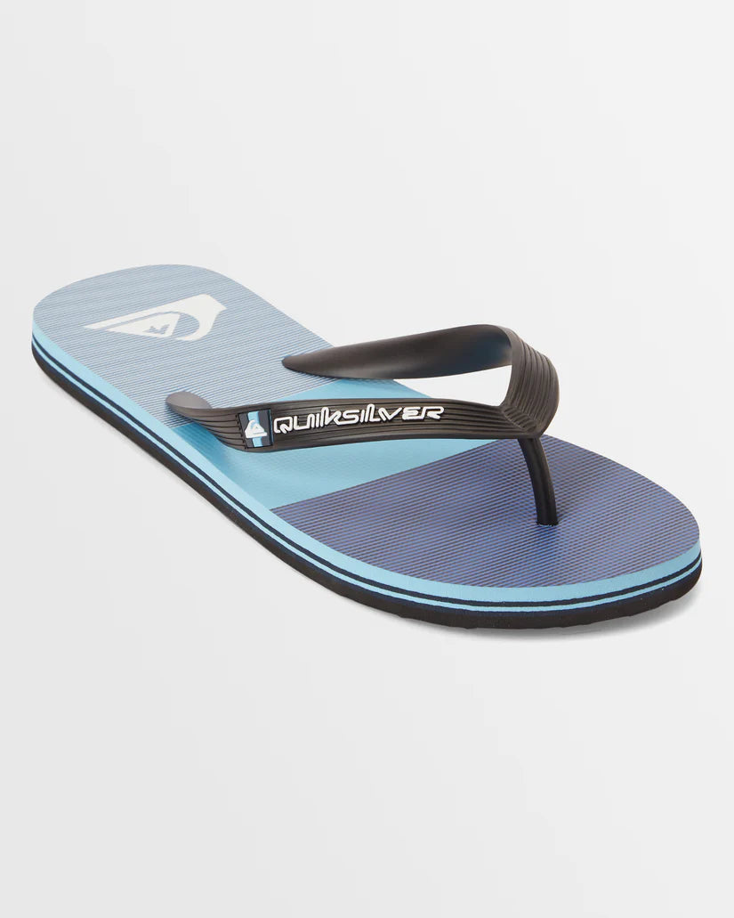Quiksilver Molokai Stripe - Blue 8 - Star Surf + Skate