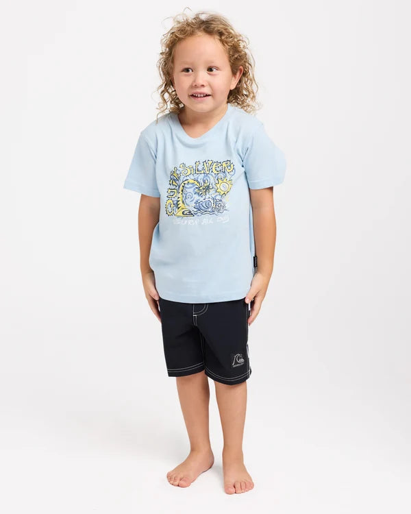 Quiksilver All Day SS Tee - Skyway