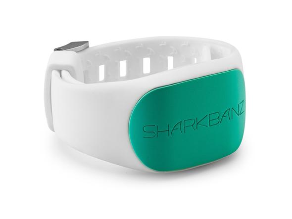 SHARKBANZ 2 - Star Surf + Skate