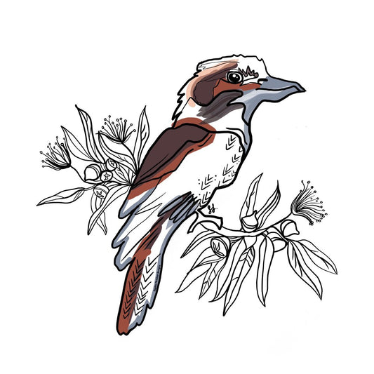 Sophie Fletcher Design Kookaburra Stickers - Star Surf + Skate