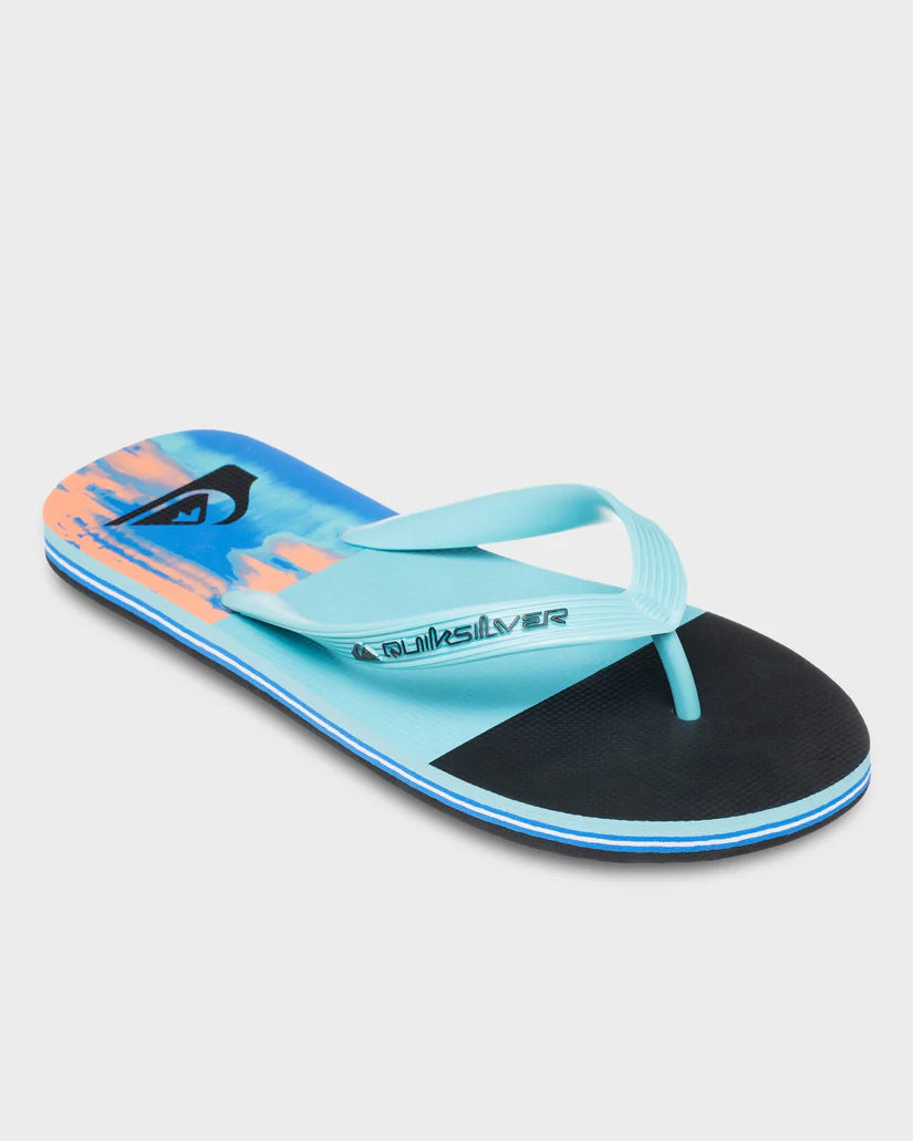 Quiksilver Molokai Stripe 25 - Nebulas Blue Bloomfade - Star Surf + Skate