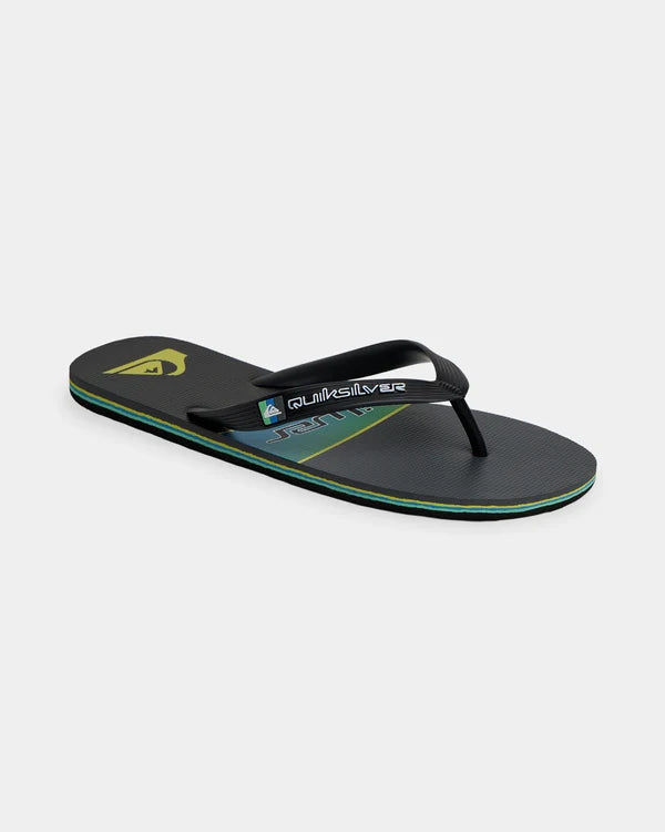 Quiksilver Moncata Art - Green/Blue/Grey