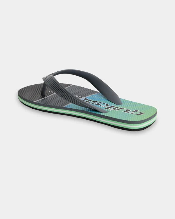 Quiksilver Moncata Art - Grey/Green